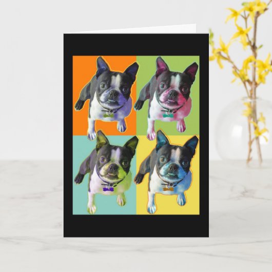 Boston Terrier Verjaardag Kaart (Gele Bloem)