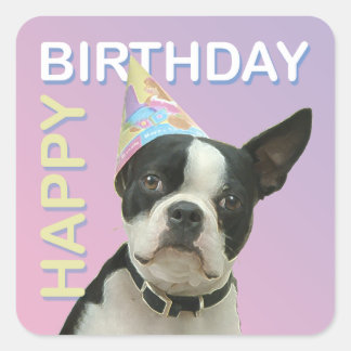 Boston Terrier Verjaardag Sticker