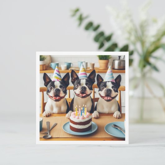 Boston Terrier verjaardagskaart, Boston terrier Kaart (Staand voorkant)