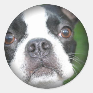 Boston Terrier vervaagde ronde Stickers