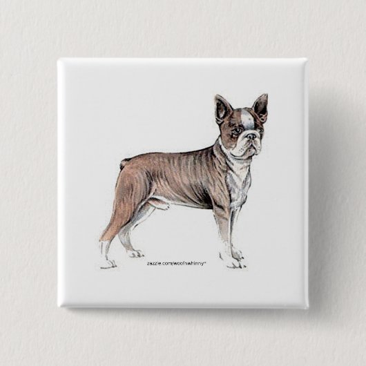 Boston Terrier Vierkante Button 5,1 Cm (Voorkant)