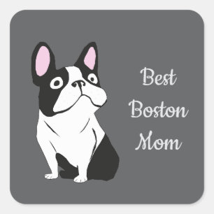 Boston terriër vierkante sticker