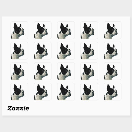 Boston Terrier Vierkante Sticker (Vel)