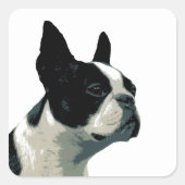 Boston Terrier Vierkante Sticker (Voorkant)