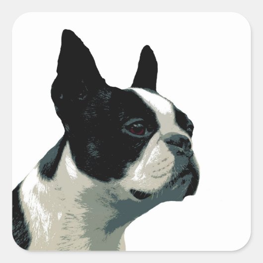 Boston Terrier Vierkante Sticker (Voorkant)