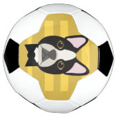 Boston Terrier Voetbal (Gedraaid)