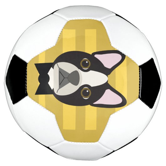 Boston Terrier Voetbal (Gedraaid)