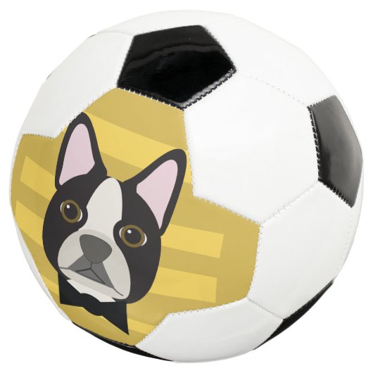 Boston Terrier Voetbal (Drie kwart)