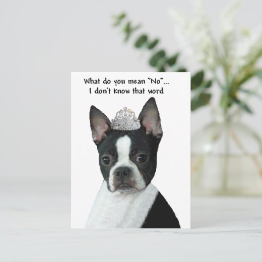 Boston Terrier:  Wat bedoel je met "nee"? Briefkaart (Staand voorkant)