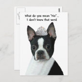 Boston Terrier:  Wat bedoel je met "nee"? Briefkaart (Voorkant / Achterkant)