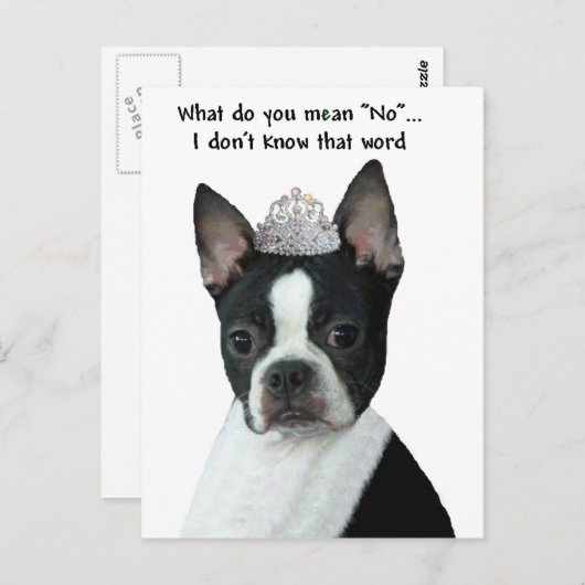 Boston Terrier:  Wat bedoel je met "nee"? Briefkaart (Voorkant / Achterkant)