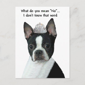 Boston Terrier:  Wat bedoel je met "nee"? Briefkaart