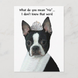 Boston Terrier:  Wat bedoel je met "nee"? Briefkaart