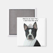 Boston Terrier: Wat bedoel je met "nee"? Magneet (Voorkant / Achterkant)