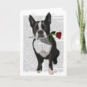 Boston Terrier with Rose in Mouth Kaart