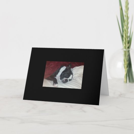Boston Terrier wordt goed Kaart (Voorkant)