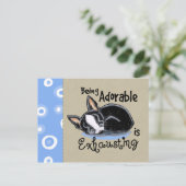 Boston Terrier wordt Schattig Briefkaart (Staand voorkant)