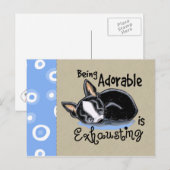 Boston Terrier wordt Schattig Briefkaart (Voorkant / Achterkant)