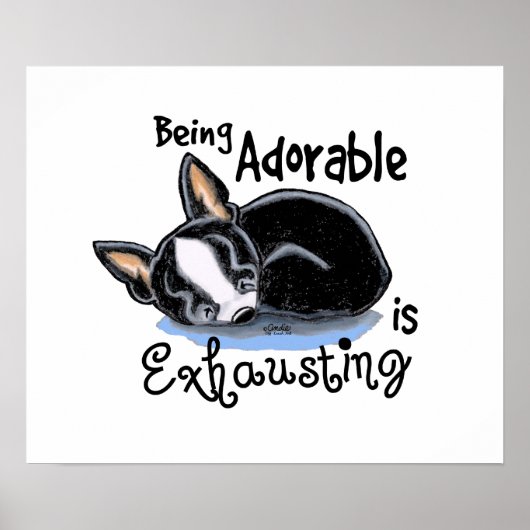 Boston Terrier wordt Schattig Poster (Voorkant)