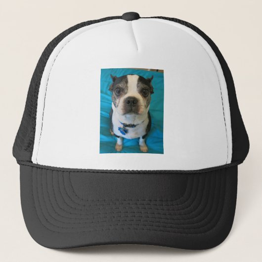 Boston Terrier zit op bed Trucker Pet (Voorkant)