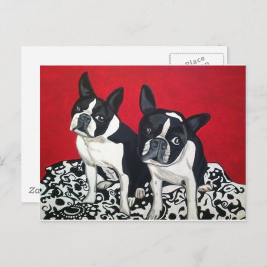 Boston Terriers Briefkaart (Voorkant / Achterkant)