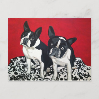 Boston Terriers Briefkaart