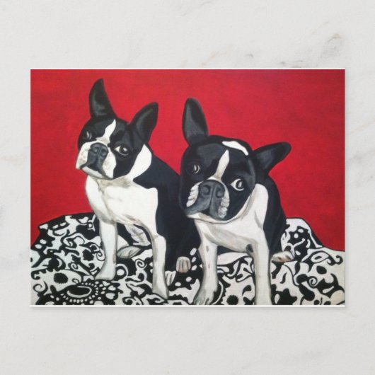 Boston Terriers Briefkaart (Voorkant)
