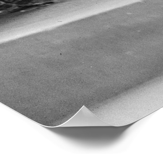 Boston Terriers en Mode van 1920 Poster (Hoek)