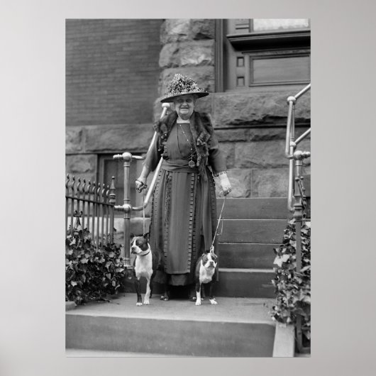 Boston Terriers en Mode van 1920 Poster (Voorkant)