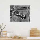 Boston Terriers, jaren 20 Poster (Keuken)
