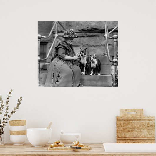 Boston Terriers, jaren 20 Poster (Keuken)