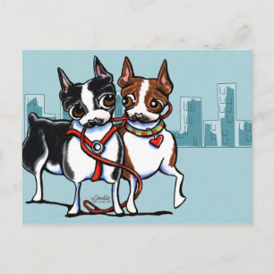 Boston Terriers Leashed Briefkaart