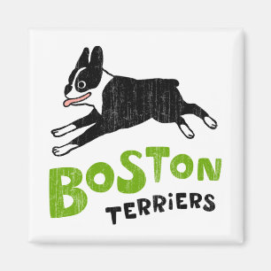 Boston Terriers Magneet