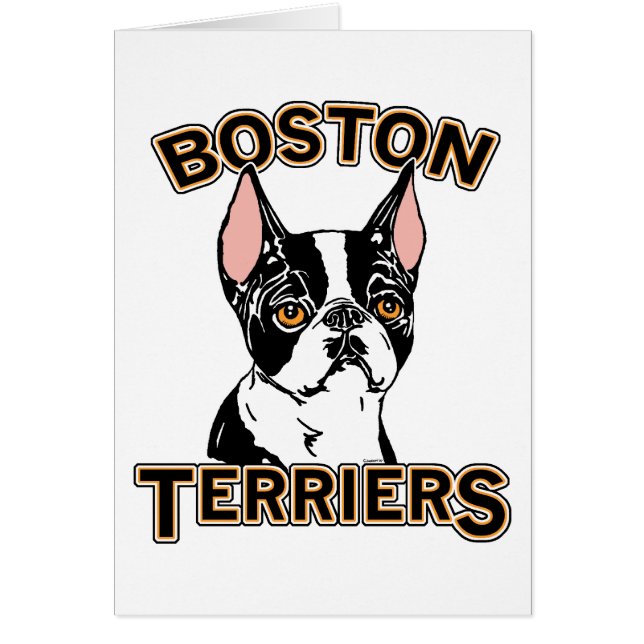 Boston Terriers Mascot (Voorkant)