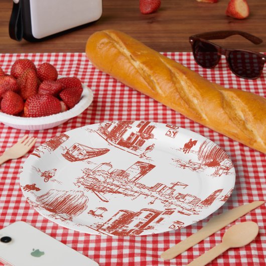 Boston Toile Red Papieren Bordje (Picknick)