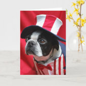 Boston Uncle Sam Kaart (Gele Bloem)