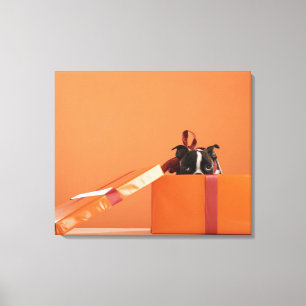 Boston verschrikkelijke puppy in cadeaudoos canvas afdruk