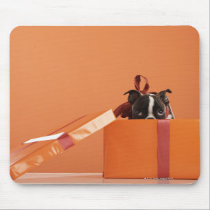 Boston verschrikkelijke puppy in cadeaudoos muismat