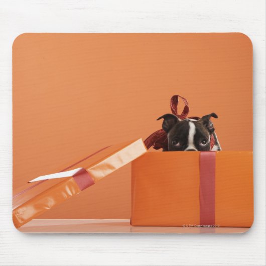 Boston verschrikkelijke puppy in cadeaudoos muismat (Voorkant)