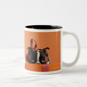 Boston verschrikkelijke puppy in cadeaudoos tweekleurige koffiemok