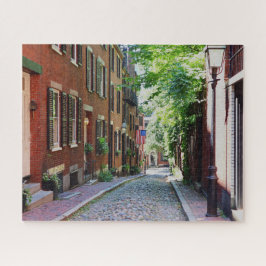 Boston's Acorn Street in Summer Photo Puzzle Legpuzzel