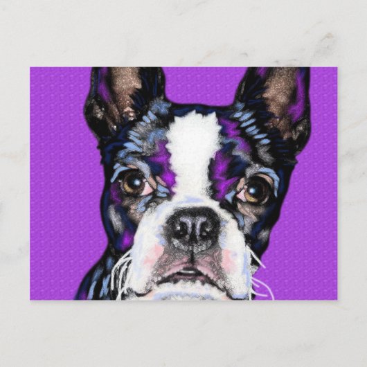 BostonTerrier Briefkaart (Voorkant)