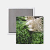 Bosuien en sla magneet (Voorkant / Achterkant)