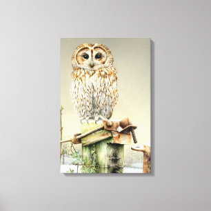 Bosuil in de sneeuw fine art canvasprint in lijst canvas afdruk