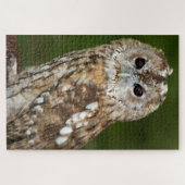 Bosuil Legpuzzel (Horizontaal)