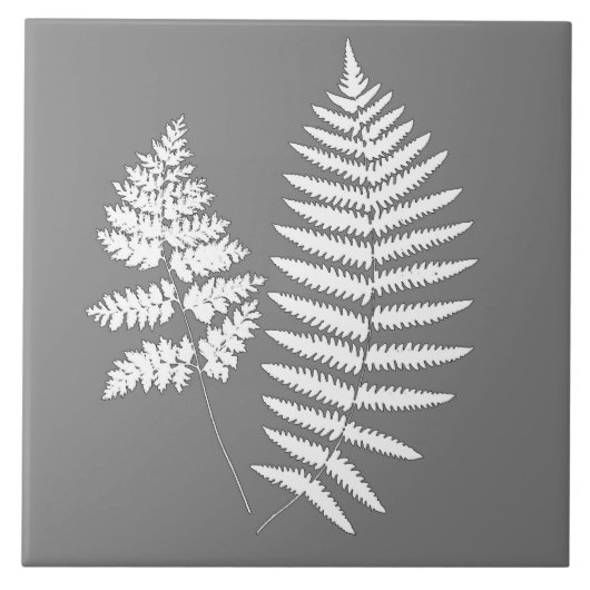 Bosvaren, grijs / grey en wit   tegeltje (Voorkant)