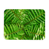 Bosvaren Magneet (Horizontaal)