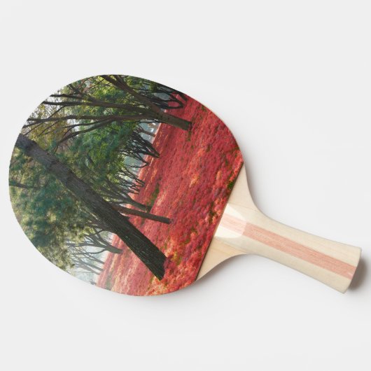 Bosveld Flowers Tafeltennisbatje (Zijkant)