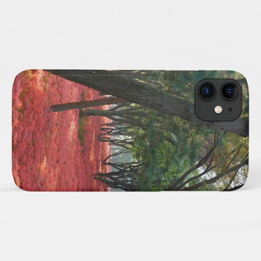 Bosvelden met bloemen Case-Mate iPhone case (Achterkant (horizontaal))