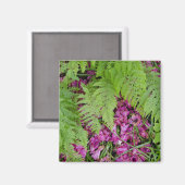 Bosvijvers met roze bloempitten op de grond magneet (Voorkant / Achterkant)